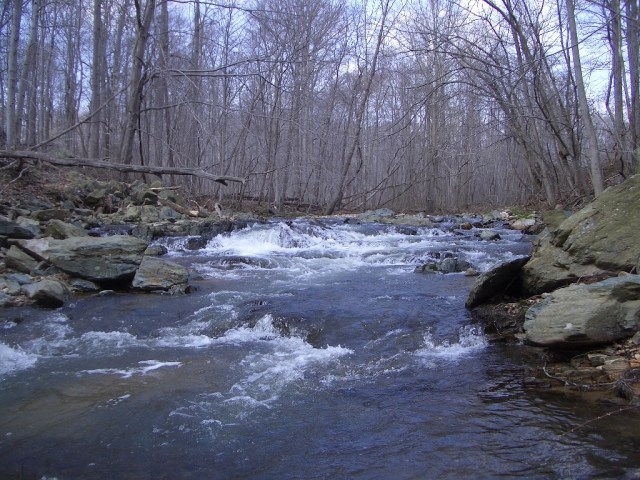 Principio Creek