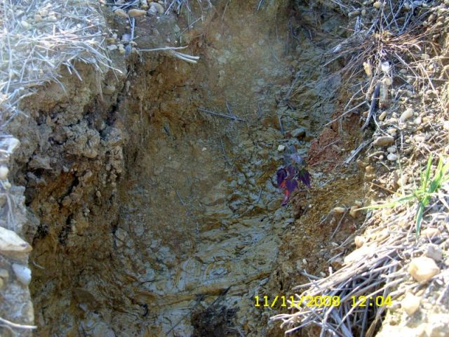 2623-inspection-11-11-08-0411