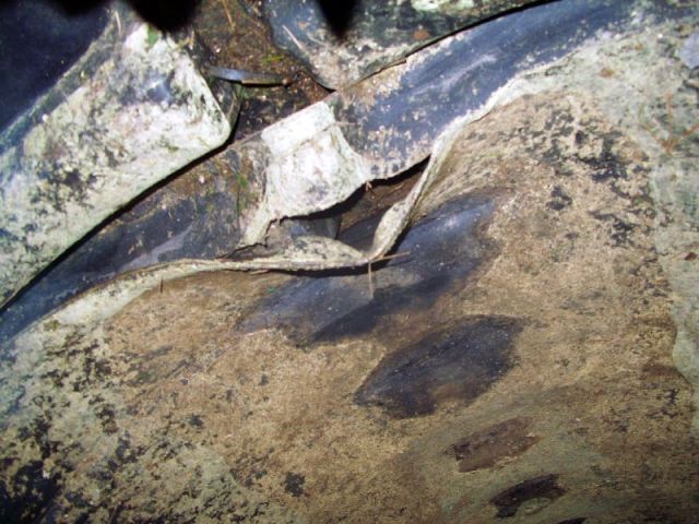 As often happens, we discovered the remnants of poor construction in the pipe.  The gap pictured here is where – during its initial construction - two pipes were joined with a collar around the outside, but the collar appears to have been installed poorly allowing soil to enter and clog the pipe, inviting the root mass to follow.