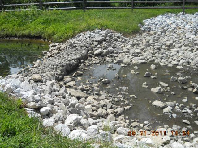 Photograph of the forebay which discharges into a wet pond.