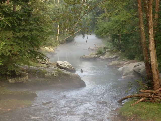 Late Summer on the Gunpowder Falls