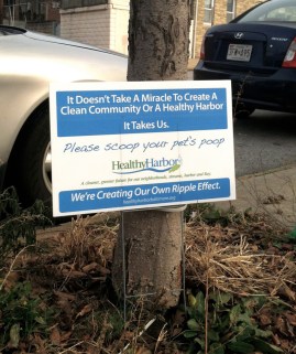 737441_491444140897447_1544026708_o