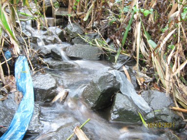 8190583189_c1512c3c7f_z