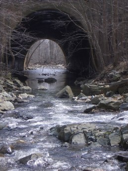 8071468502_222afbb7b3_z