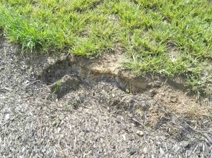 8145503302_73f3a49d23_b